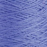 Bird's Eye View Runner