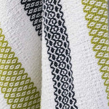 Splash of Lime Cabana Beach Towel and Tote