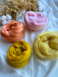 Wool Roving Bundle 9