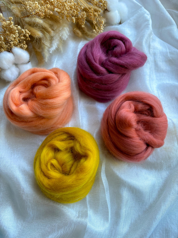 Wool Roving Bundle 10