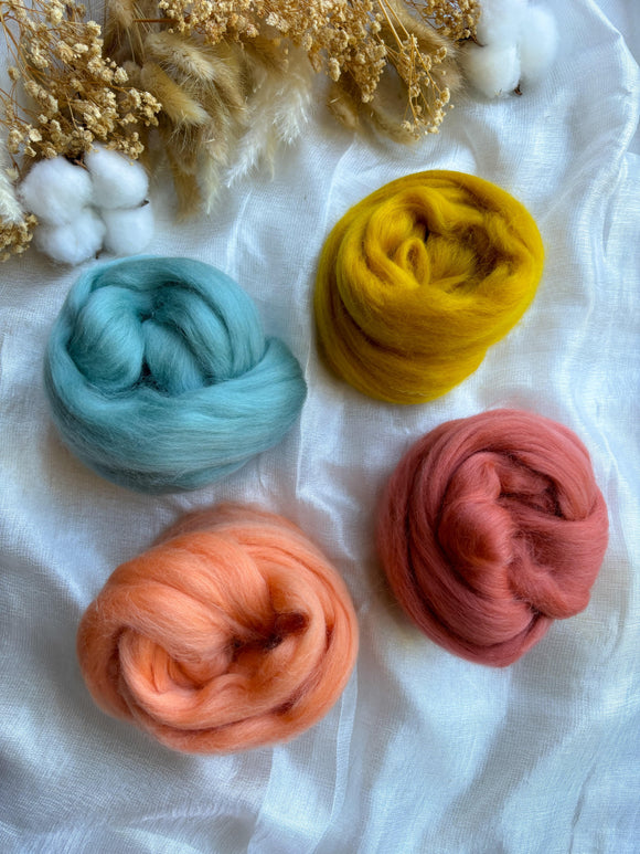 Wool Roving Bundle 12