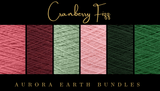 Aurora Earth Bundles Winter Edition