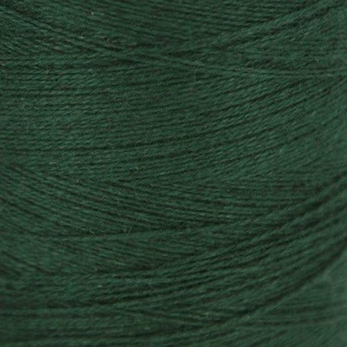 Ashford Cottolin 8/2 Cone, Green Glow 852