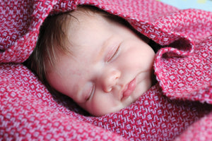 Rose Garden Baby Blanket