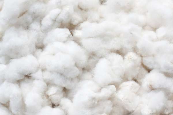 Spinning Fibers – Cotton Clouds Inc.